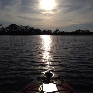 Meet your Posher, Josie